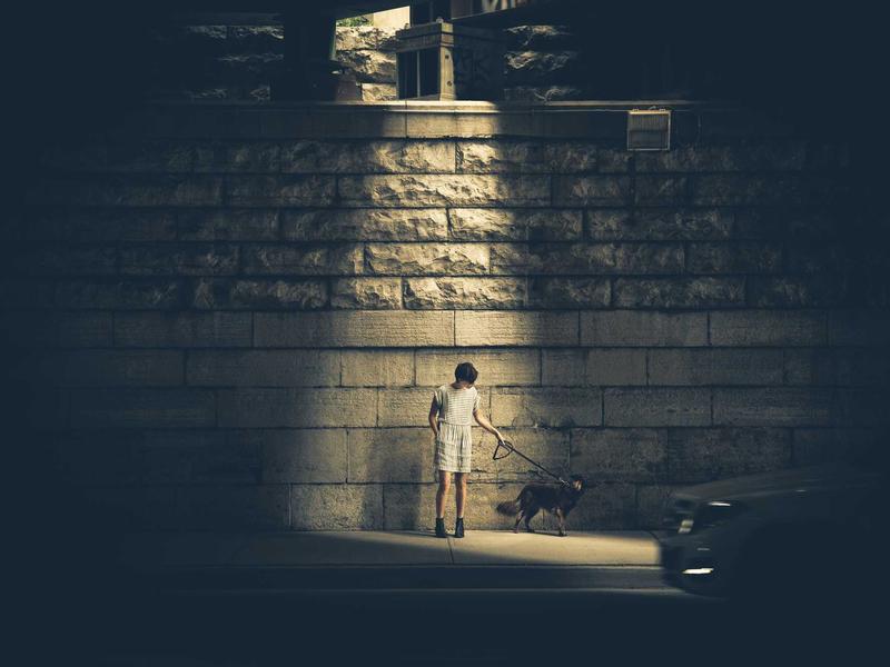摩洛哥马约尔花园<br>mcbhuqd.cn 马拉喀什蓝